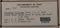 Image Associated With the Occurence
